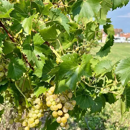 Casa Sul Fiume * Gorgo (Udine)