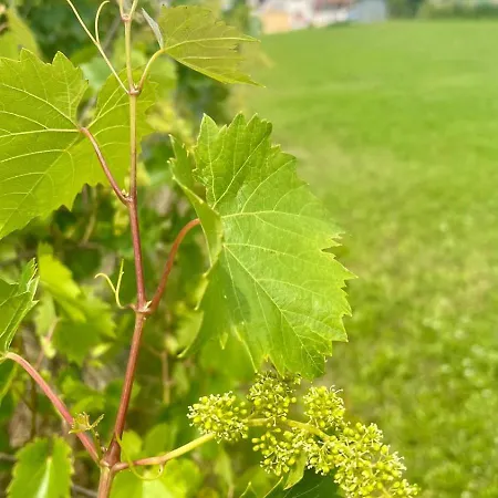 아파트 Casa Sul Fiume Gorgo (Udine)