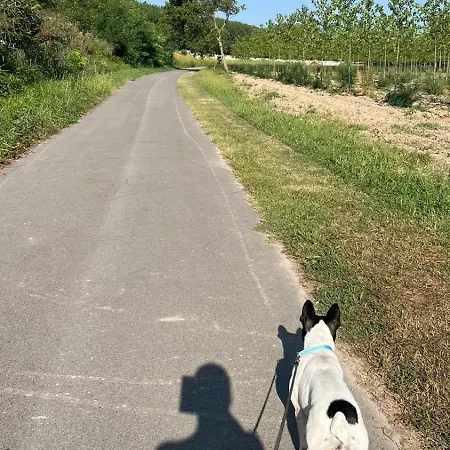 Casa Sul Fiume * Gorgo (Udine)