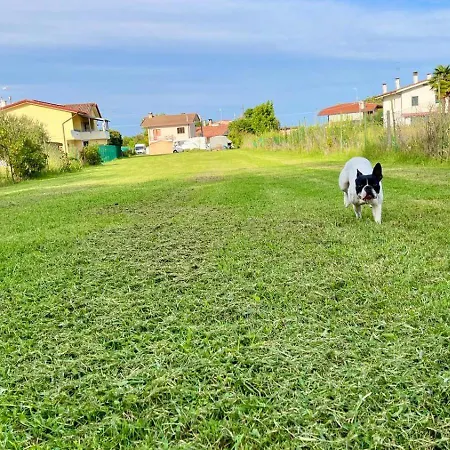 Casa Sul Fiume 아파트 *