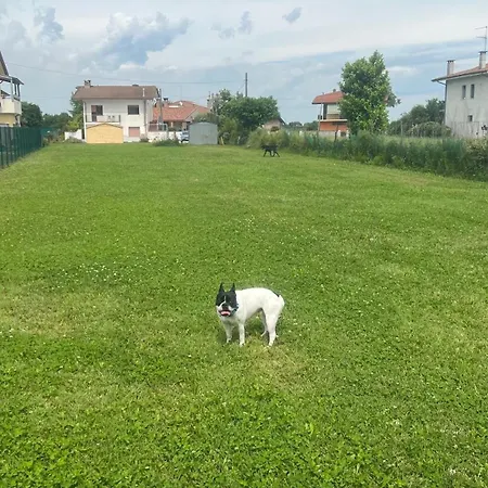 Casa Sul Fiume 아파트 *