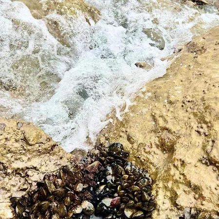 Casa Sul Fiume Gorgo (Udine)